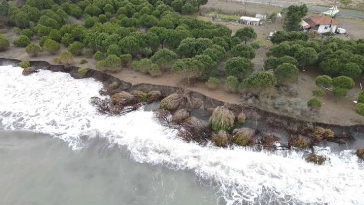 Hırçın dalgalar 150 metre kumsalı yuttu, evler tehdit altında