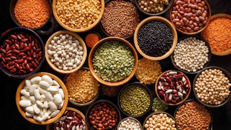 Hububat bakliyat yağlı tohumlar ihracatı 10 milyar dolara ramak kaldı