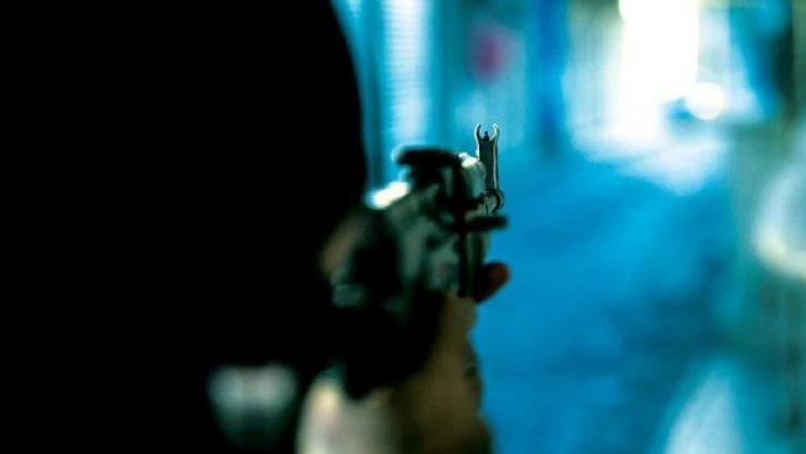 İçişleri Bakanı: Yüksekova, Şırnak ve Nusaybin'de de temizlikler yapılacak