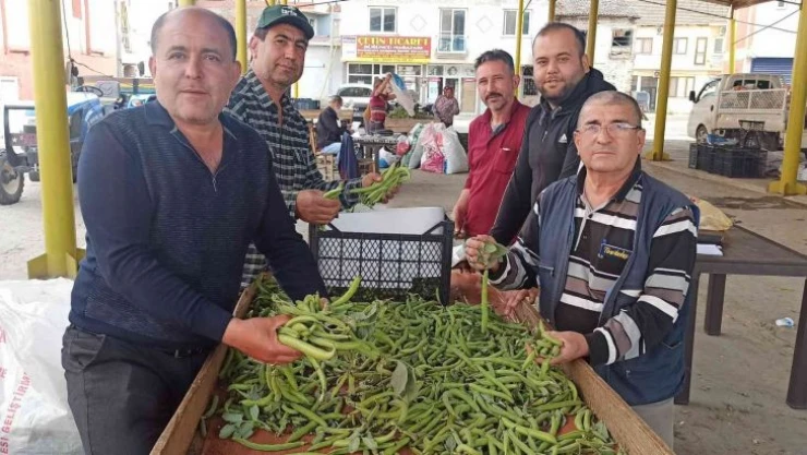 İlkbahar sebzesi baklada hasat zamanı