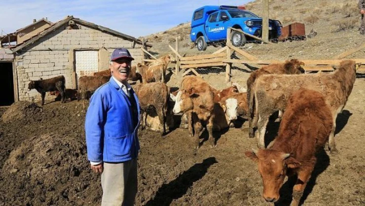 İneklerinin kaybolduğunu jandarmadan öğrendi