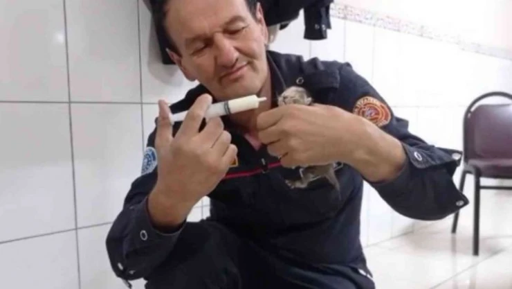 İtfaiye ekipleri kurtardıkları 3 yavru kediyi elleriyle besledi