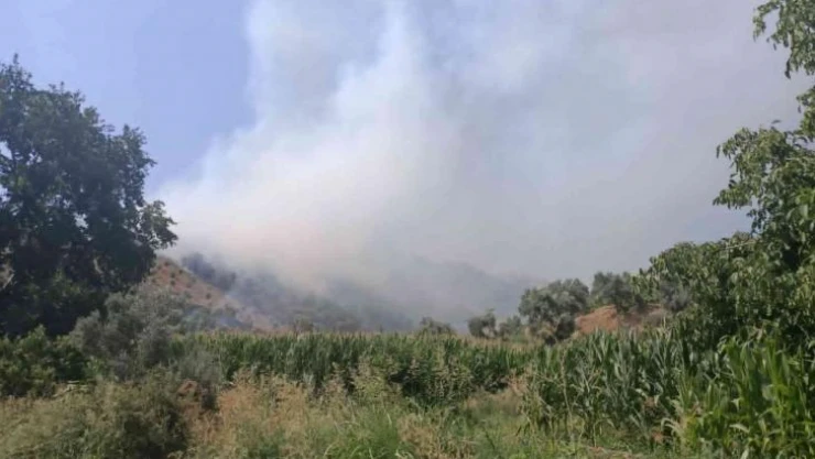 İzmir'de ormanlık alanda yangın