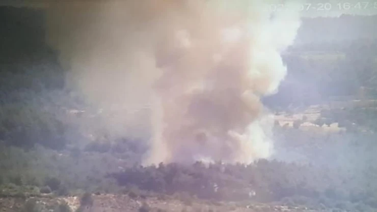 İzmir'deki orman yangını kontrol altına alındı