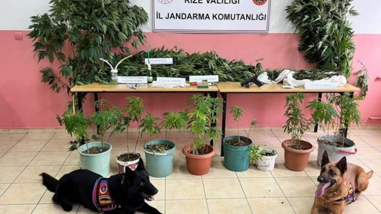 Jandarmadan uyuşturucu operasyonu: 3 gözaltı