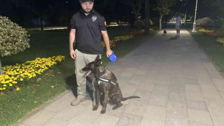 Kadıköy'de park ve bahçelerde narkotik köpekli denetim
