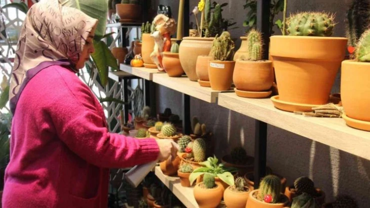 Kaktüs merakı kadın girişimciyi iş sahibi yaptı