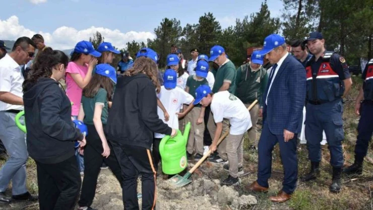 Karabük'te küle dönen orman dikilen fidanlarla yeşillenecek