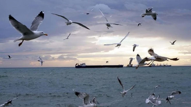 Karayel Marmara'da etkisini kaybetti