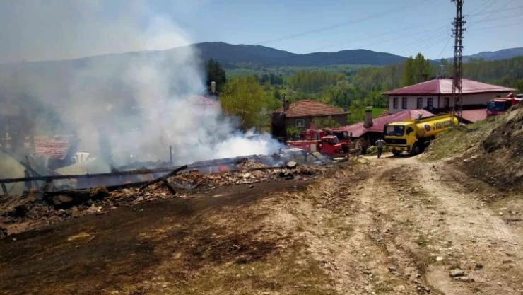 Kastamonu'da iki ev ve samanlık alevlere teslim oldu