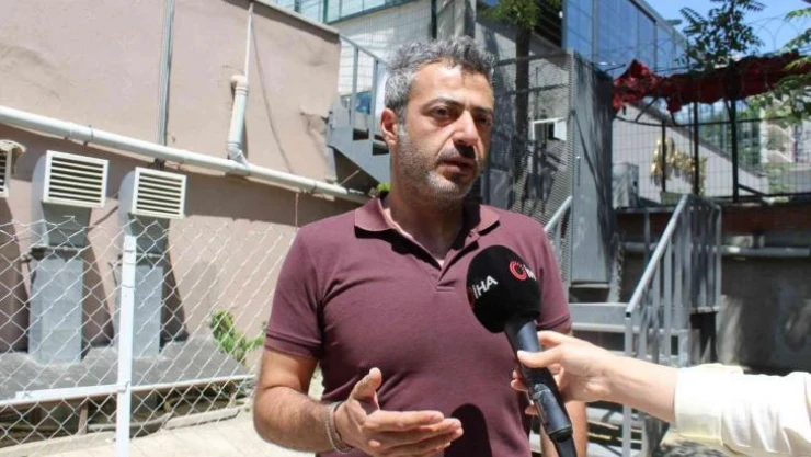 Kavaklıdere'de köpek hırsızlığı