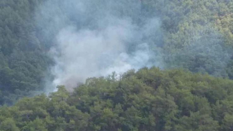 Kazdağları'nda orman yangını