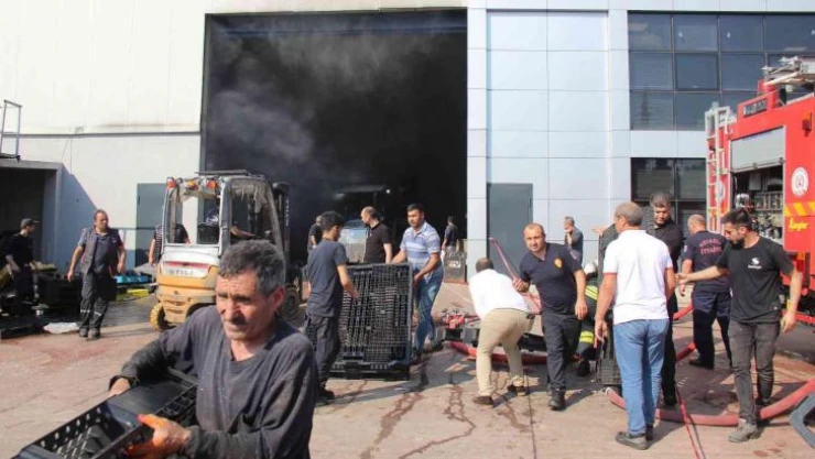 Kocaeli'de geri dönüşüm fabrikasında yangın