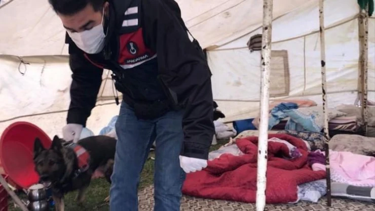 Konar-göçerlerin çadırlarına uyuşturucu baskını: 11 gözaltı