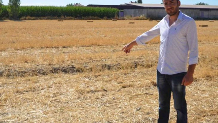 Köpeklerin saldırısından Umut'u kurtaran sağlık çalışanı konuştu