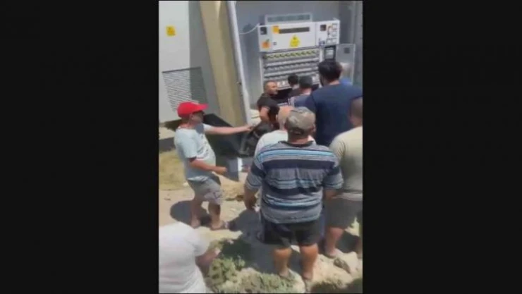 Kuşadası'nda sık sık elektrik kesintisine neden olan 'hırsız fare' böyle yakalandı