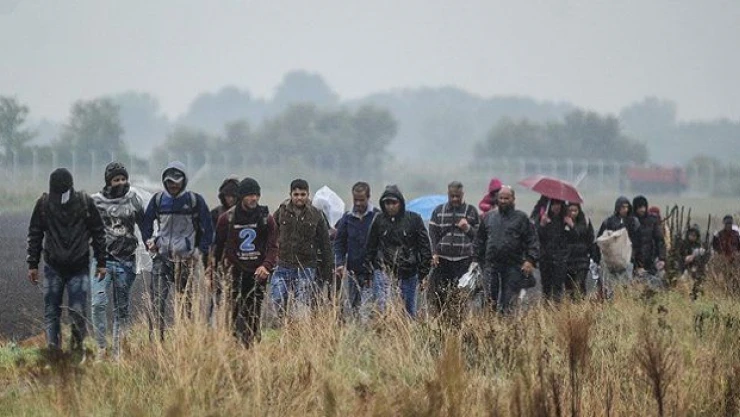 Macar kameramanın çelme taktığı Suriyeli Madrid'e getiriliyor