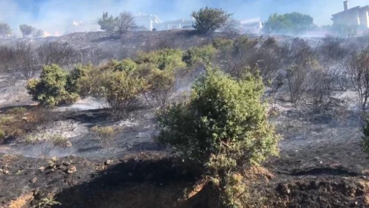 Maltepe'de otluk alanda yangın çıktı. İtfaiye ekiplerinin yangına müdahalesi sürüyor.