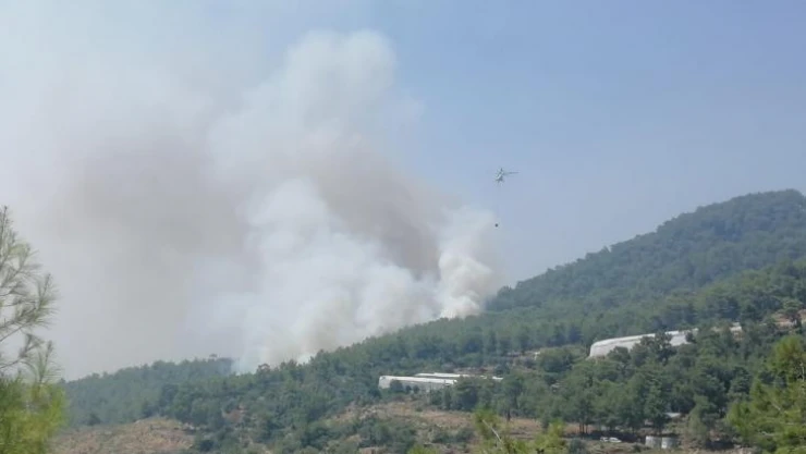 Mersin'de orman yangınına 2 uçak ve 5 helikopterle müdahale ediliyor