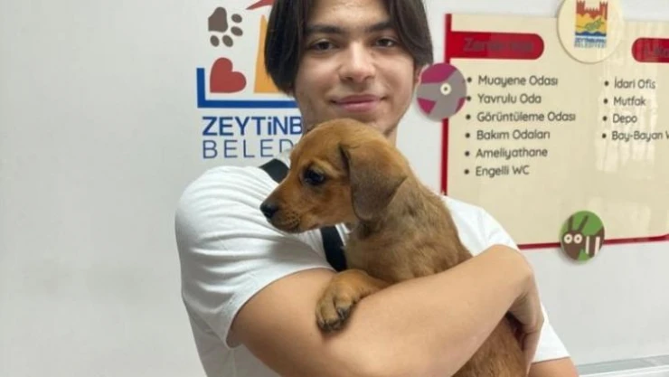 Mezarlığa bırakılan yavru köpek yeni yuvasında