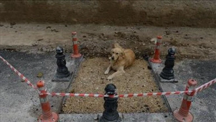 Mozaiğin üstündeki asfalt Ünal'ın talimatıyla kaldırıldı