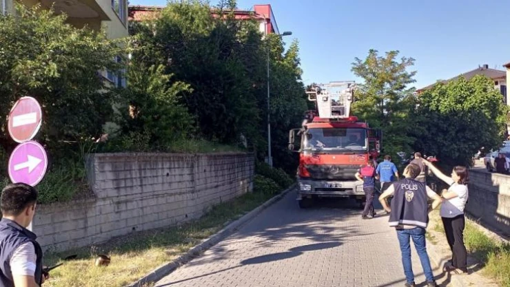 Ocakta unutulan düdüklü tencere mahalleliyi korkuttu