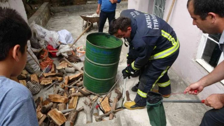 Odunlukta 2 metrelik yılan operasyonu