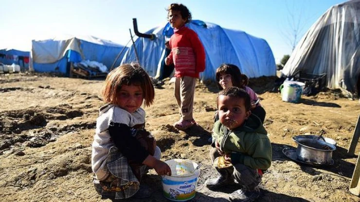 Okula gitmek yerine ısınmak için odun topluyorlar