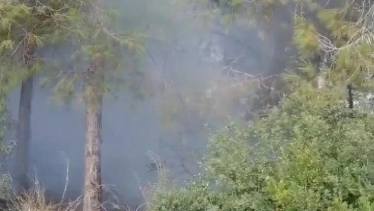 Ormanlık alanda çıkan yangın kısa sürede söndürüldü