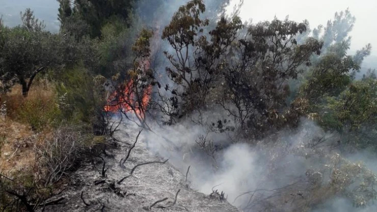 Osmaniye'deki orman yangını büyümeden söndürüldü