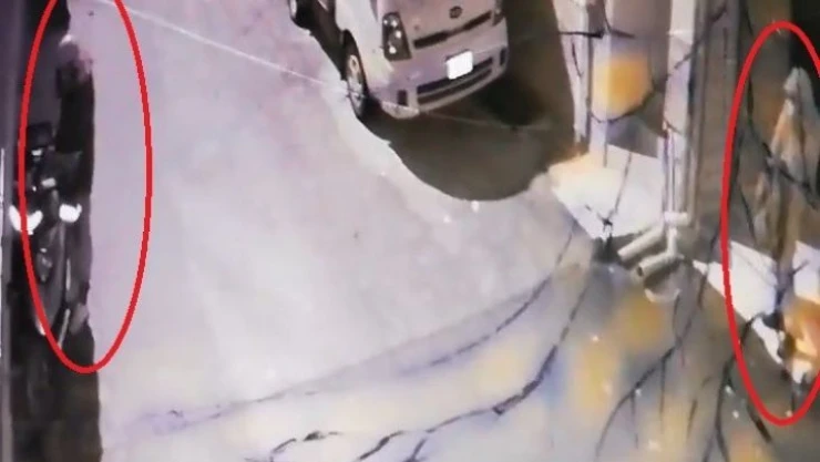 Balkondan hırsızın kafasına tabak yağdırdı, hırsız böyle kaçtı