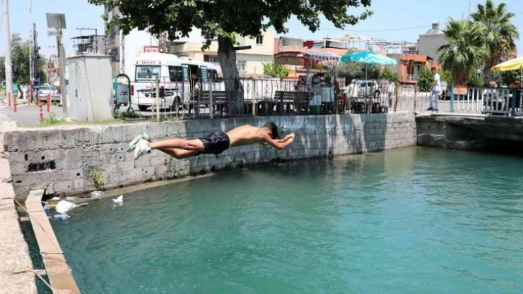 Polisler ölümleri engellemek için harekete geçti