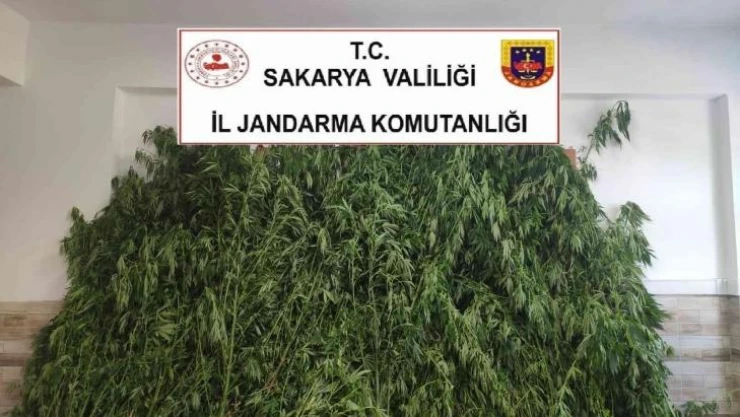Sakarya'da uyuşturucu operasyonu: Baba ve oğlu gözaltına alındı