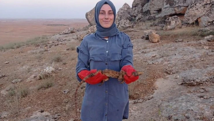 Sarnıca düşen çöl varanı kurtarıldı