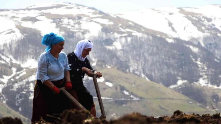 Şartlar çok zor olsa da onlar çalışmadan duramıyor