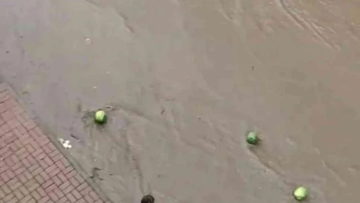 Selde sürüklenen karpuzları vatandaşlar kurtarmaya çalıştı