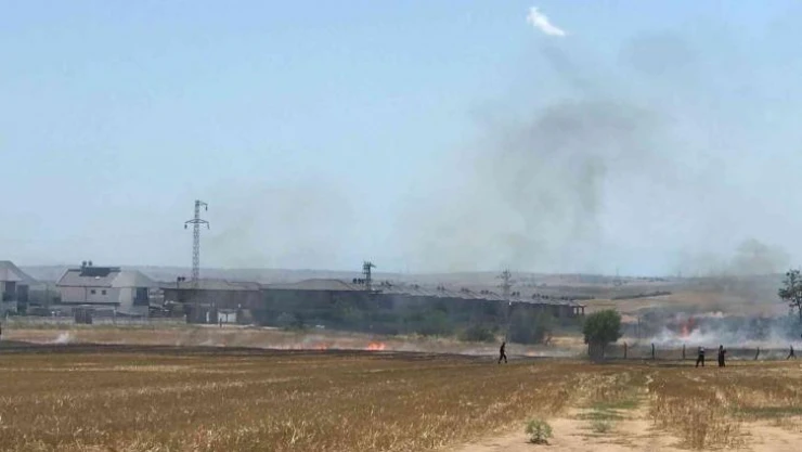 Sigara izmariti anız yangınına neden oldu