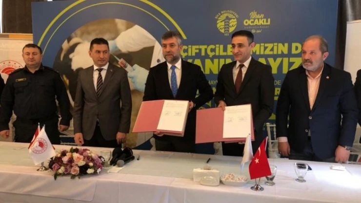 Şile'de 25 bin hayvanın aşılaması ücretsiz gerçekleştiriliyor