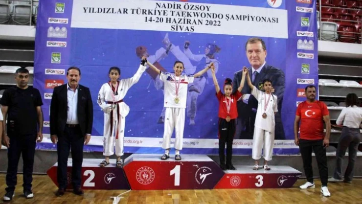 Sivas'ta düzenlenen tekvando şampiyonası sona erdi