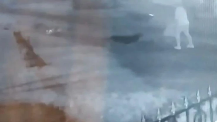 Sokak köpekleri işten dönen Hasret'e işte böyle saldırdı