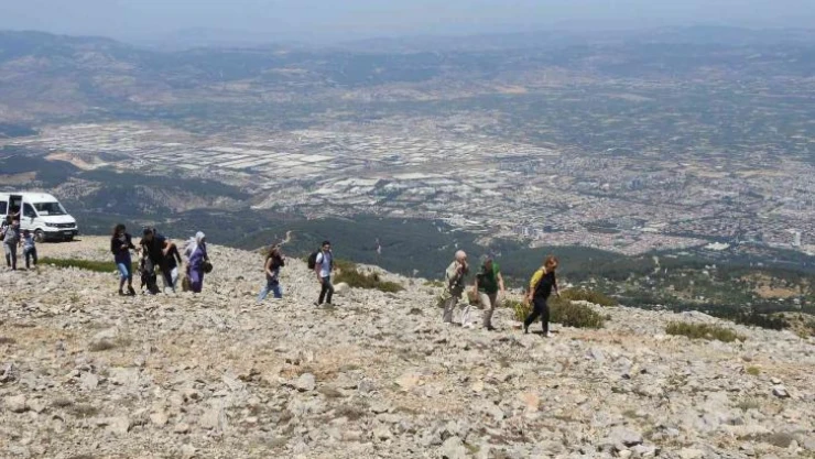 Spil Dağı Milli Parkı'nın endemik tür bitki ve çiçekleri fotoğraflandı