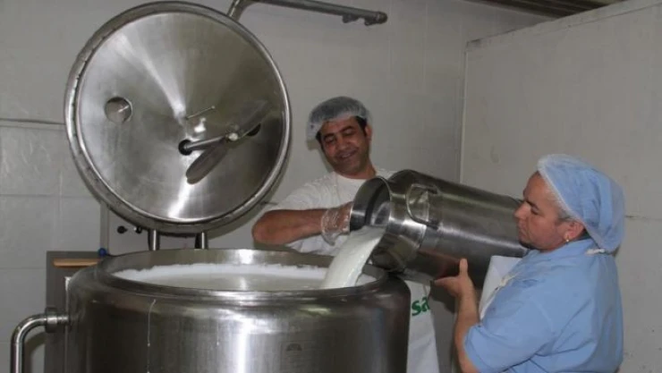 Süt ve süt ürünleri üretiminde artış