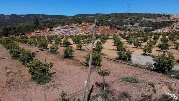Tanesi 10 TL olan tropikal meyve için on binlerce liralık güvenlik önlemleri alınıyor