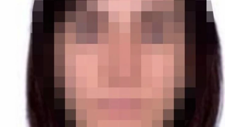 TSK'dan ihraç edilen FETÖ'cü subayın DHKP-C'li kardeşleri gözaltına alındı