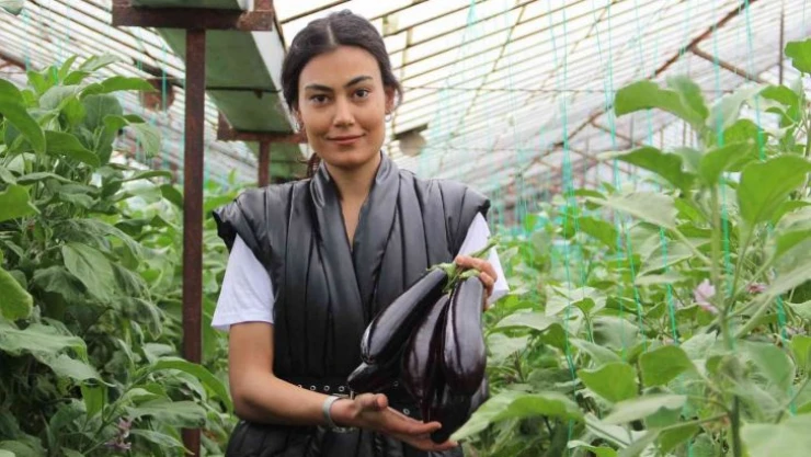 Tüketiciye ucuz sebze müjdesi