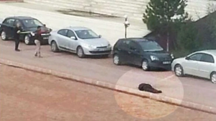 Tunceli'de bombalı saldırı: 1 ölü