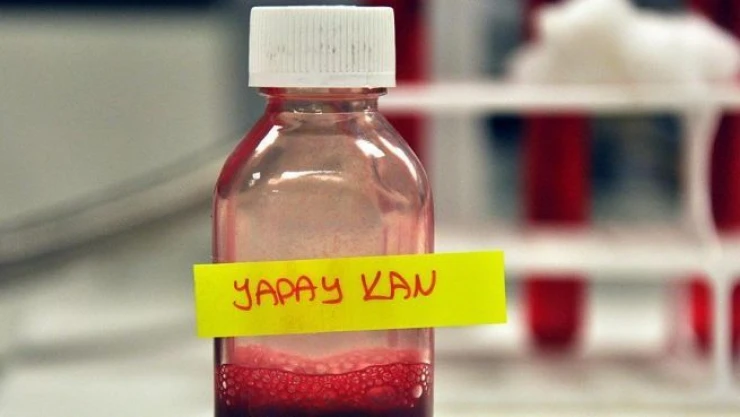 Türk bilim adamları yapay kan üretti