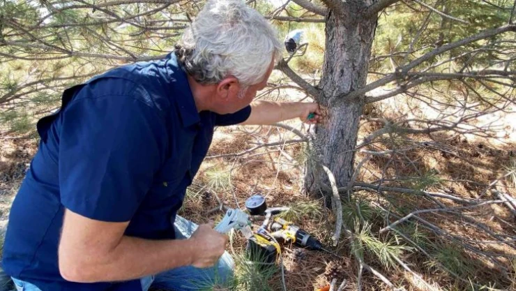 Tuz Gölü havzasında ayakta kalacak ağaç türleri belirlenecek