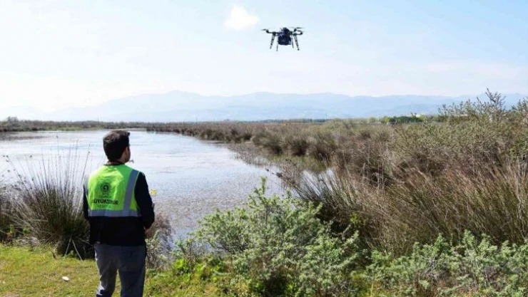 Vektörle havadan mücadele
