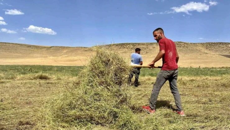 Yağmur bereketinden faydalanan çiftçinin yüzü gülüyor